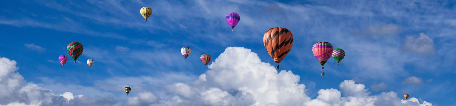 乡村振兴交流群